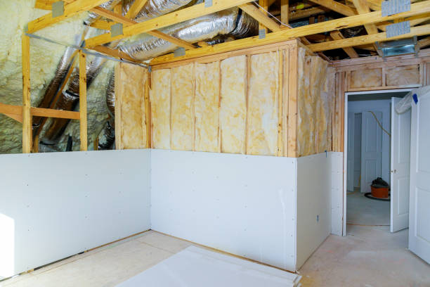 Best Home Insulation Services  in Alma, NE