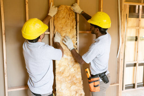 Best Insulation Contractor Near Me  in Alma, NE