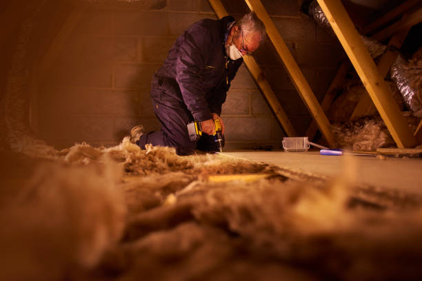 Best Insulation Repair Services  in Alma, NE